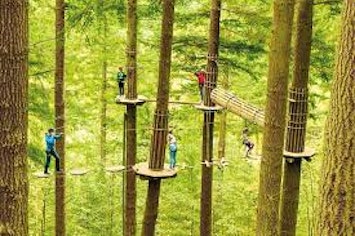 Treetop Challenge From Go Ape In Leeds Fizzbox