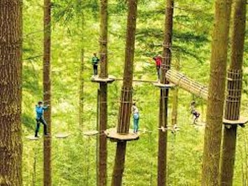 Treetop Challenge From Go Ape In Leeds Fizzbox Treetop Challenge From Go Ape In Leeds Fizzbox