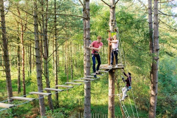 Treetop Challenge From Go Ape In Manchester Fizzbox