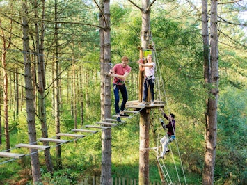 Treetop Challenge From Go Ape In Manchester Fizzbox Treetop Challenge From Go Ape In Manchester Fizzbox