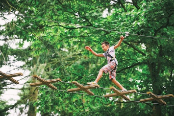 Treetop Challenge From Go Ape In Newcastle Fizzbox