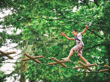 Treetop Challenge From Go Ape In Newcastle Fizzbox Treetop Challenge From Go Ape In Newcastle Fizzbox